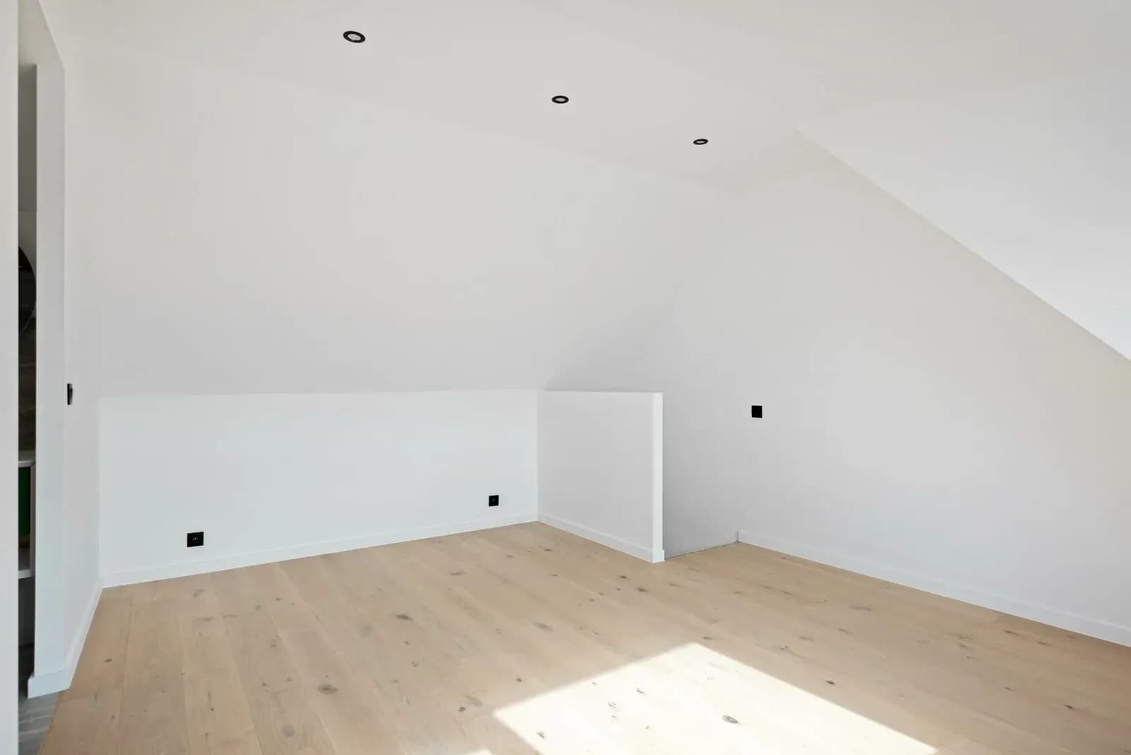 Velodroomstraat 56 in Zurenborg — projectfoto 5